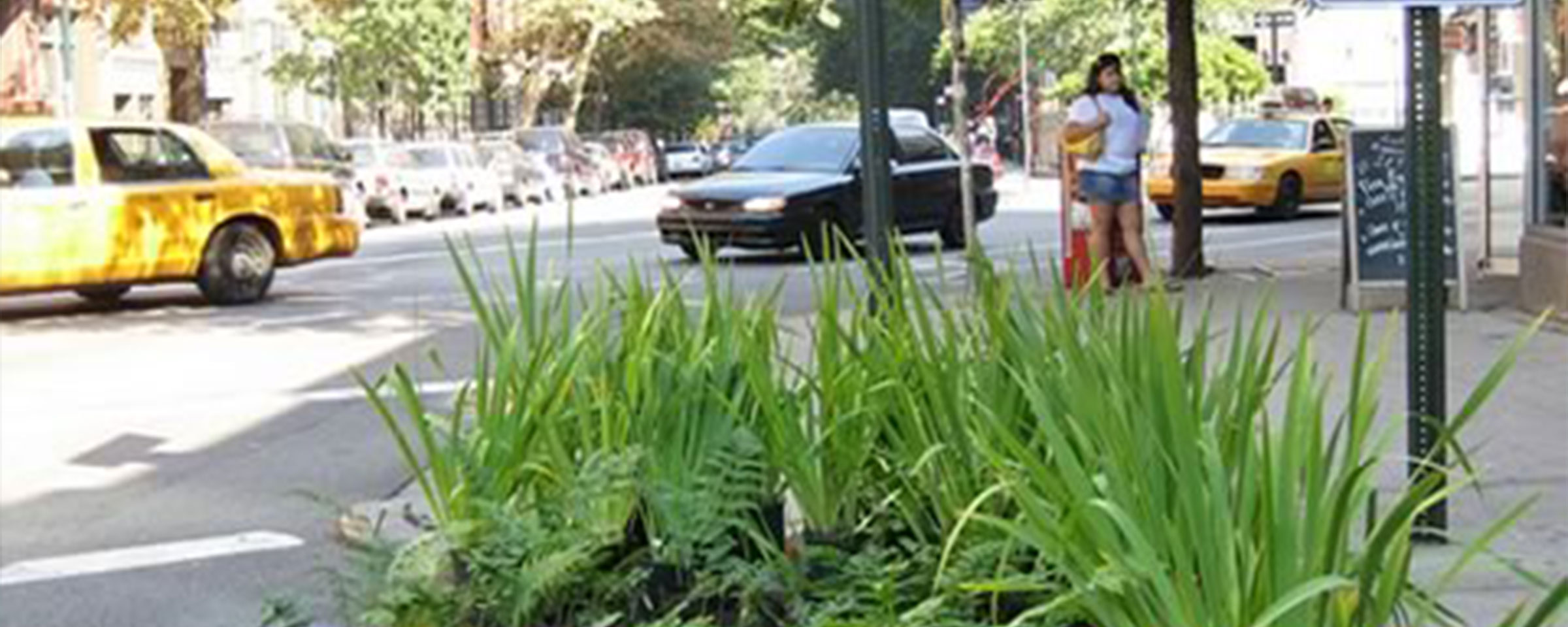 Straße mit Autos und grüner Pflanze im Vordergrund
