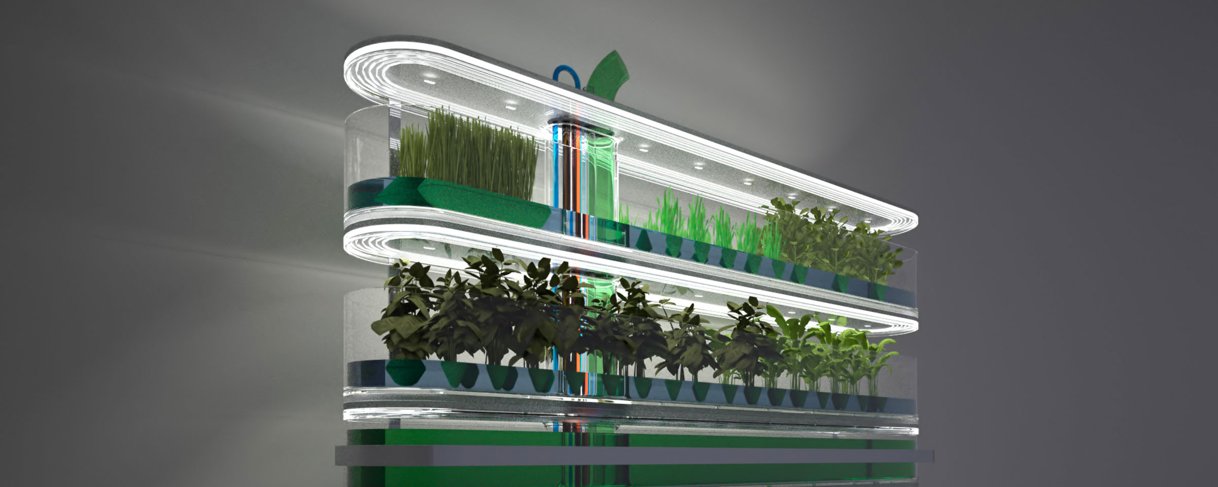 Ökofarm System bestehend aus Pflanzen und Fischen