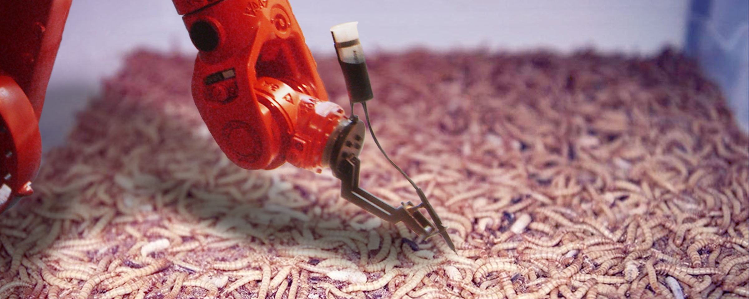 Cepri-Tech talks about SMART. INSECT. FARMING.