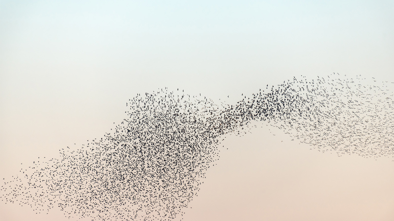 (Digital)strategie als Designprozess