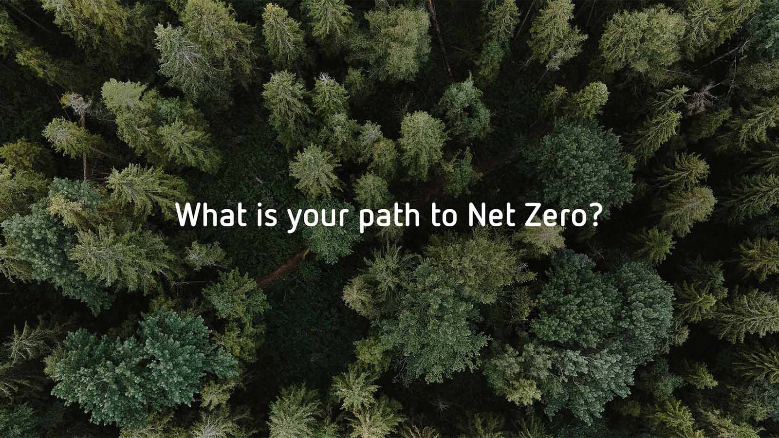 Net-Zero identity in four steps