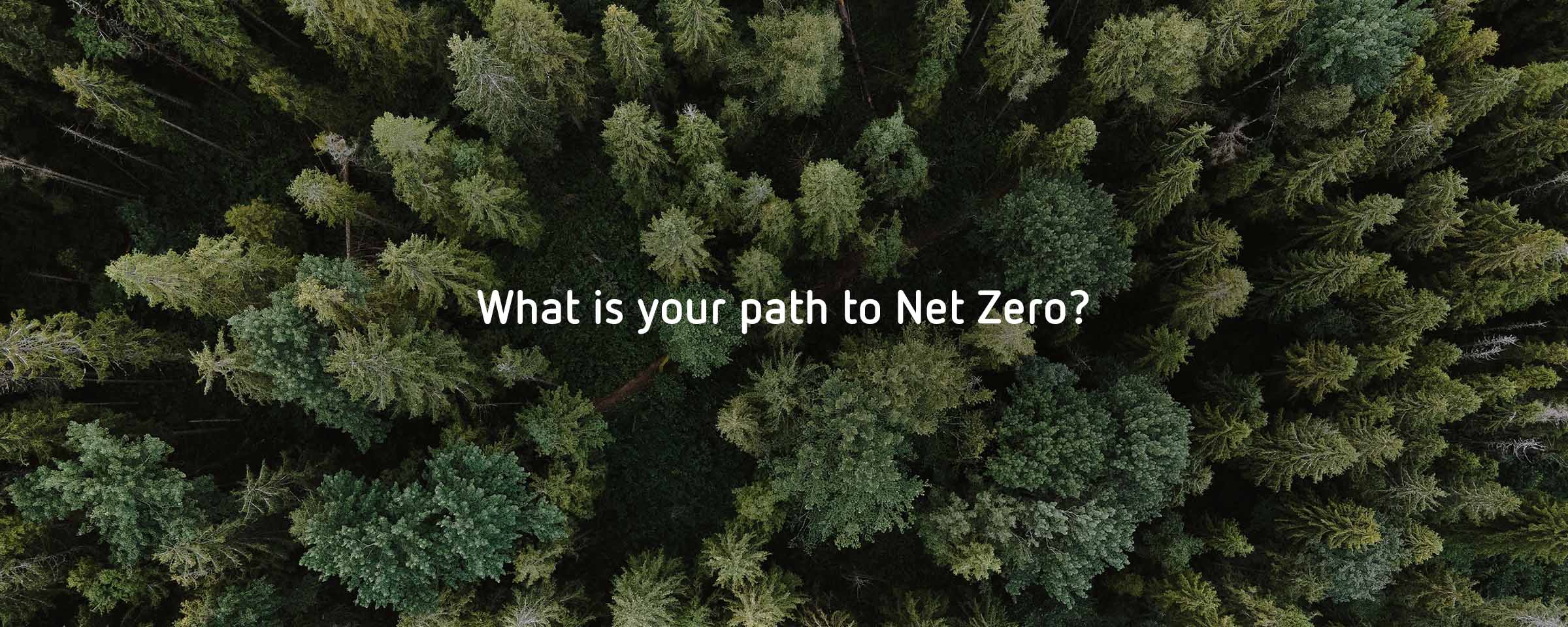Net Zero mit Intuity