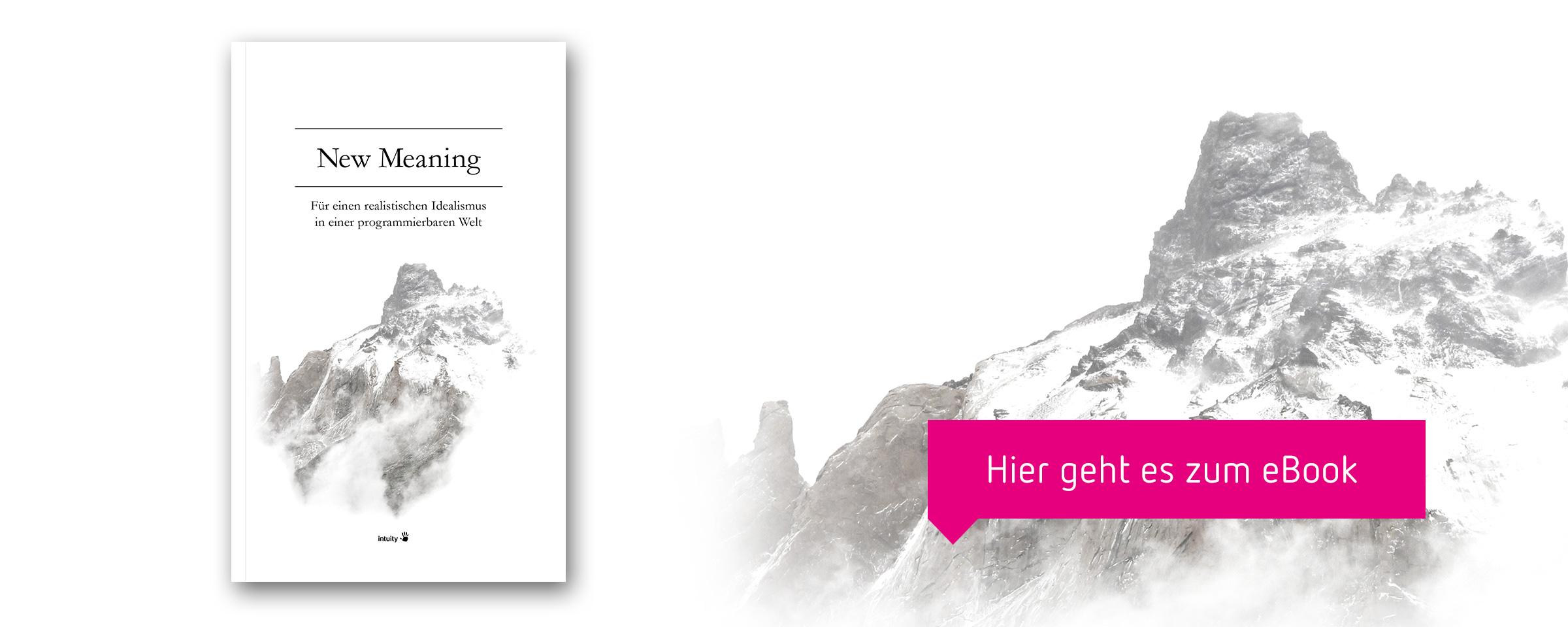 Cover of the publication New Meaning (Mountain top with snow and clouds)