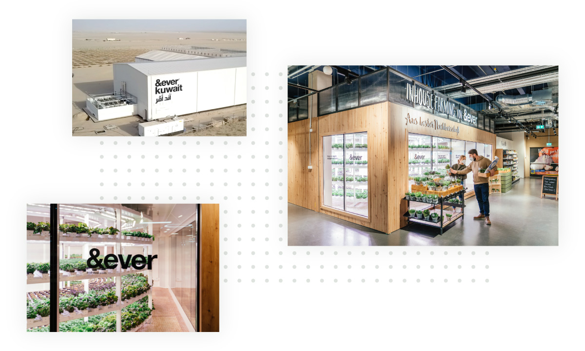 &ever builds both complex farm systems and compact solutions for supermarkets
