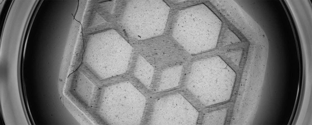 Cellbricks logo printed with cell-containing bioink