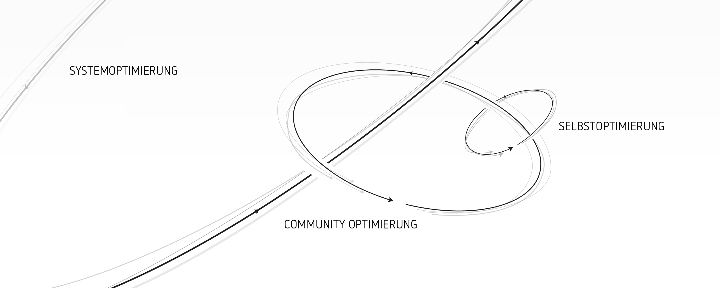 Systemoptimierung, Community Optimierung, Selbstoptimierung